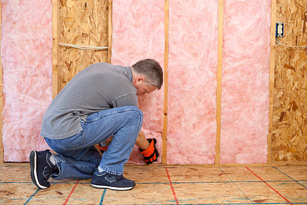 Best Blown-In Insulation  in Sigourney, IA